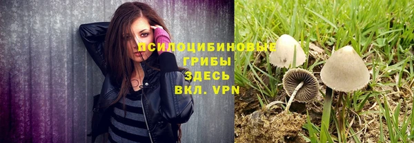 прущая мука Абаза