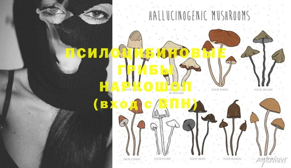 прущая мука Абаза