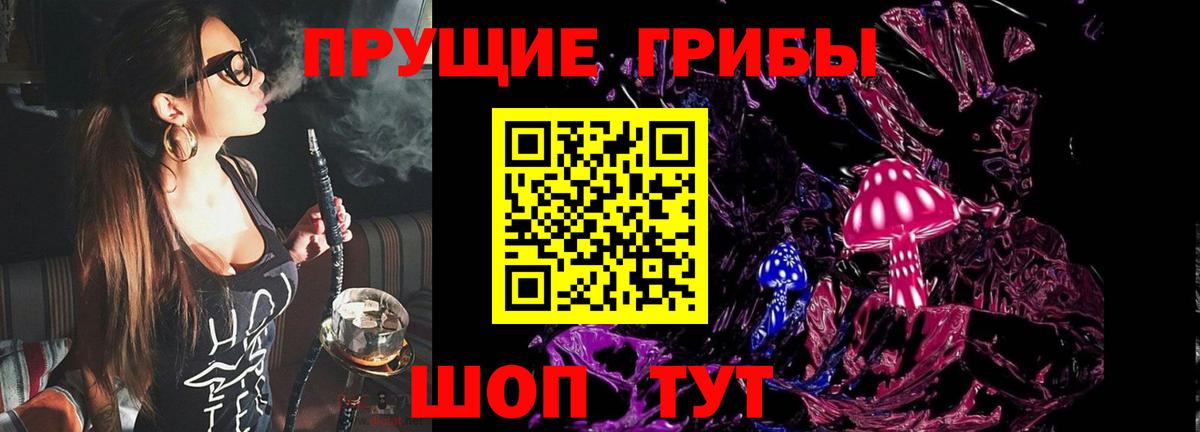 Псилоцибиновые грибы Cubensis Уфа